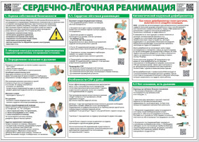 ОКАЗАНИЕ ПЕРВОЙ ПОМОЩИ ОКАЗАНИЕ ПЕРВОЙ ПОМОЩИ.